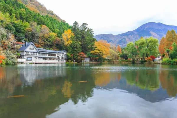 九州包車－由布院金鱗湖風景