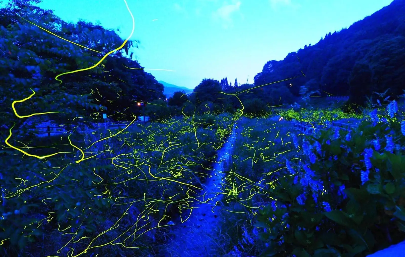 長野縣螢火蟲童謠公園