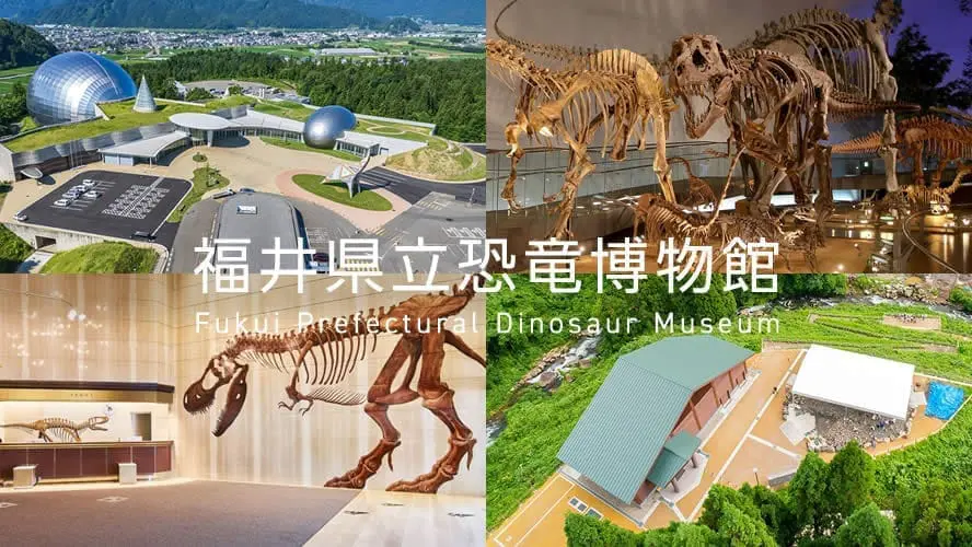 福井恐龍博物館親子五日