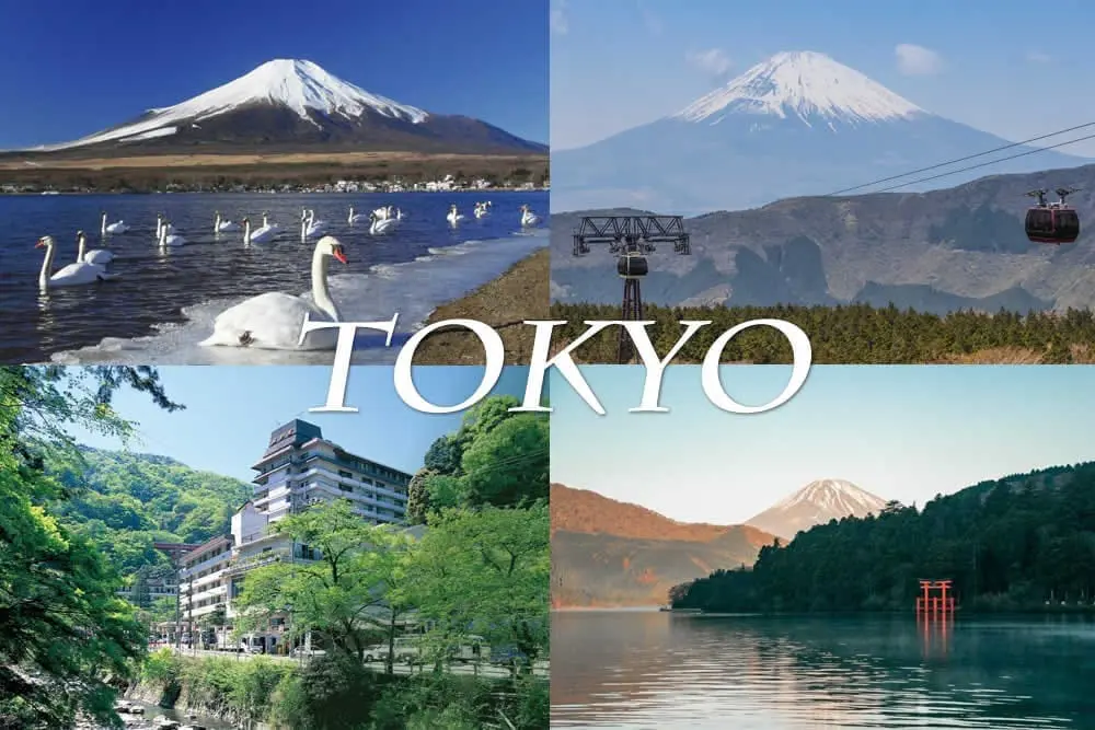 富士山療癒湯旅樂齡四日