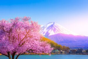 2025日本櫻花季開花日期與賞櫻景點推薦