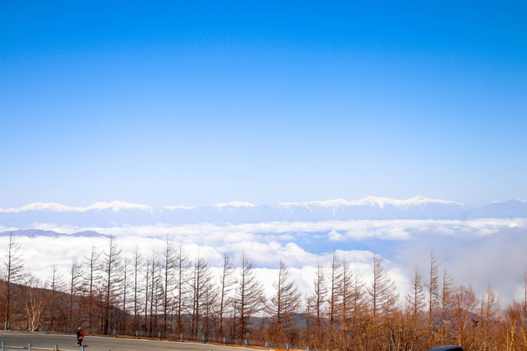 富士山,河口湖包車一日遊