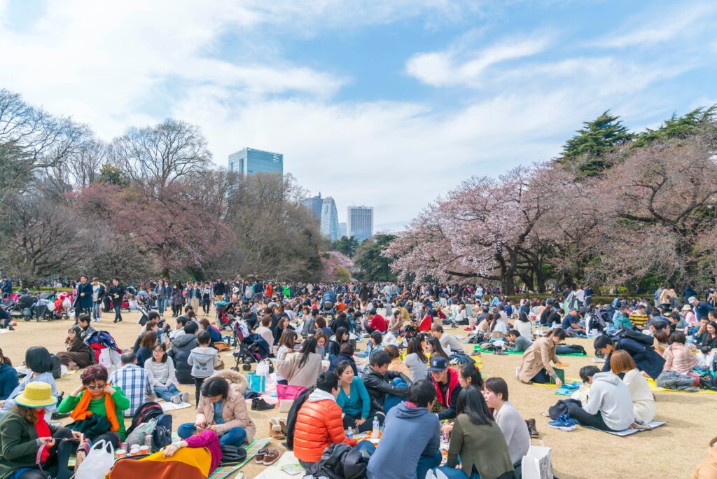 日本民眾最常去的賞櫻景點新宿御苑