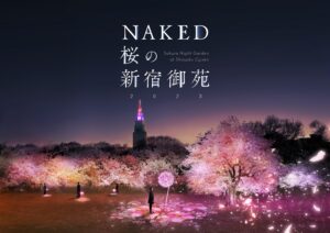 2025 NAKED新宿御苑夜間櫻花季