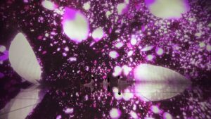 東京豐洲teamLab Planets TOKYO櫻花限定場景