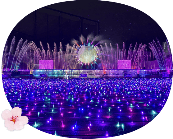 東京讀賣樂園櫻花與夜櫻燈飾秀