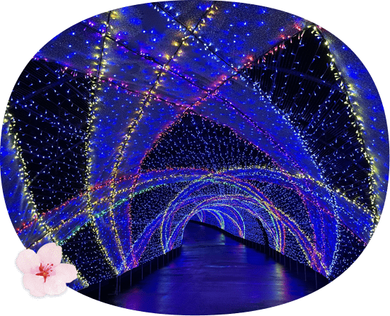 東京讀賣樂園櫻花與夜櫻燈飾秀