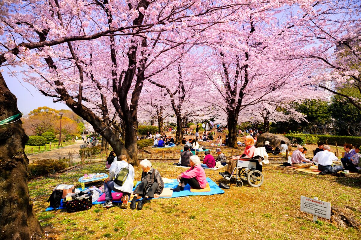 行動不便的老人要如何旅遊日本?