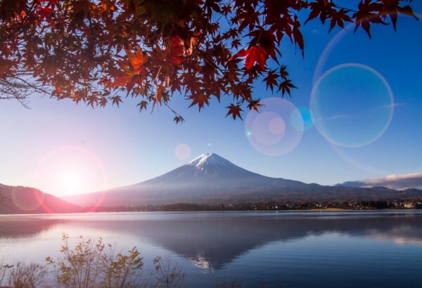 2025 富士山網紅景點打卡拍照攻略