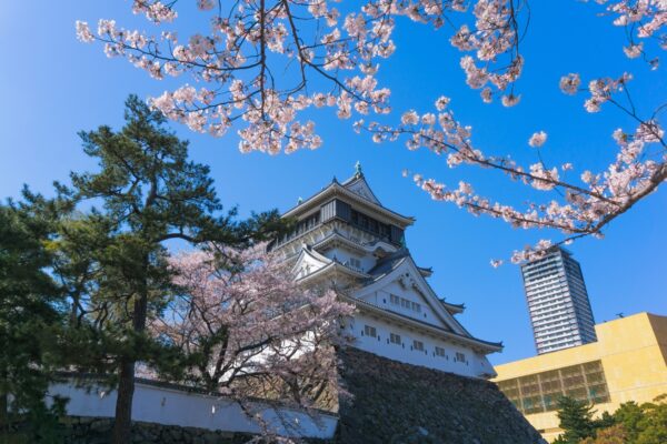 福岡城(舞鶴公園)－福岡市的代表性地標