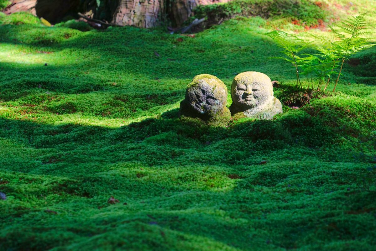 三千院-京都最美庭園與古寺廟