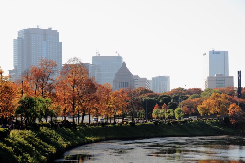 2024東京賞楓指南 - 一起探索東京的秋日紅葉吧