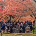 京都賞楓如何避開人潮?