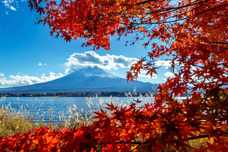 2024 富士山秋季河口湖紅葉祭