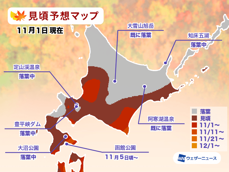 2024日本賞楓(日本紅葉預估)
