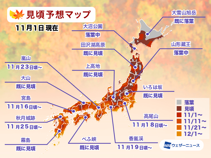 2023年11月日本賞楓(日本紅葉預估)