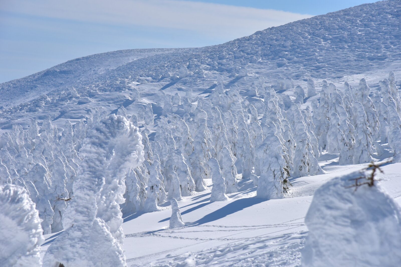 2024 冬季日本滑雪場攻略(北海道,東北地區,長野,新瀉)