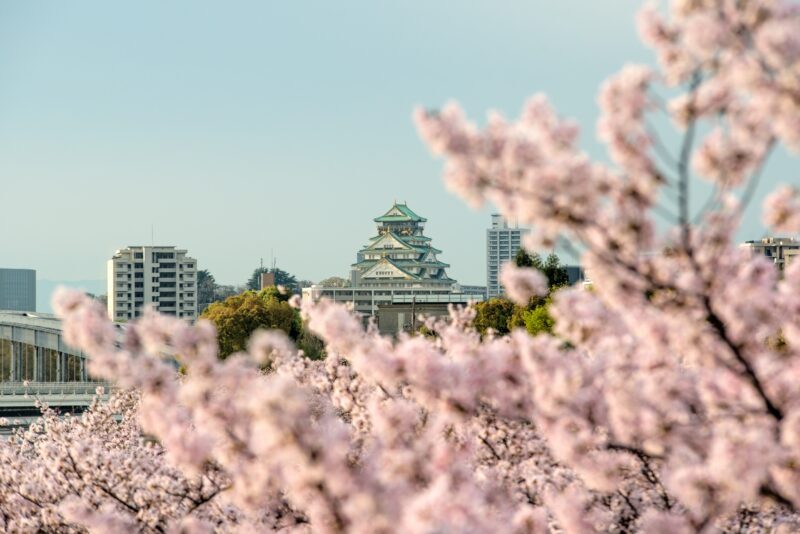 2025 日本關西地區3-4月賞櫻景點推薦