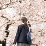 2024日本宮城櫻花之旅：五大賞櫻景點推薦