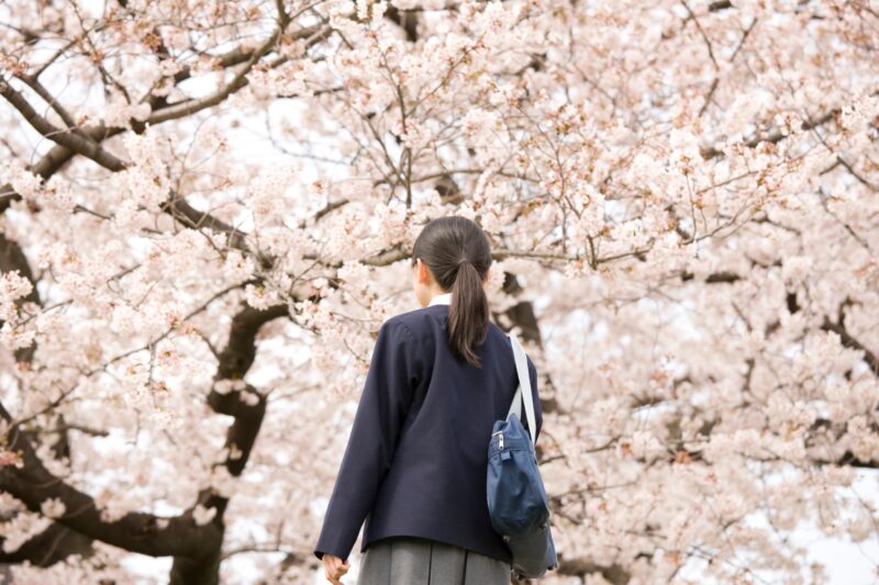 2025 日本宮城櫻花之旅：五大賞櫻景點推薦