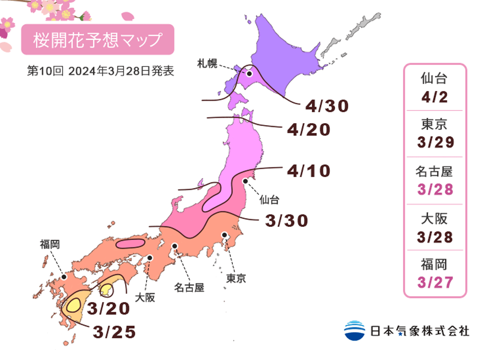 2024日本櫻花季開花日期與賞櫻景點推薦