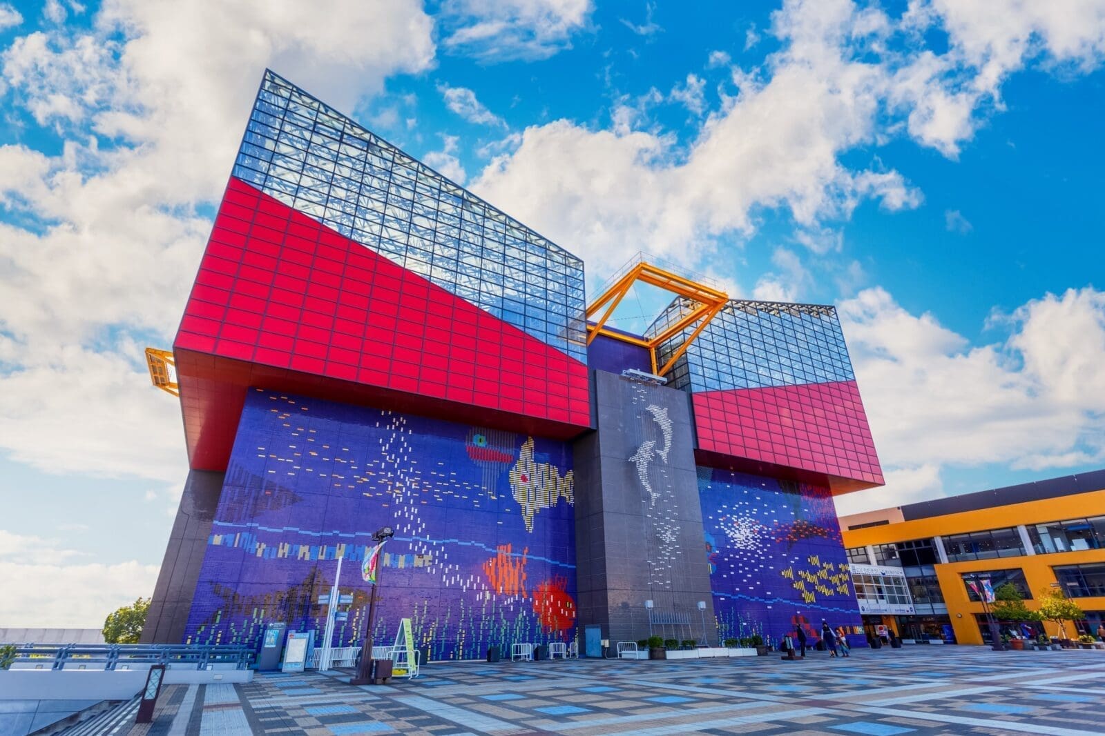 大阪海遊館太平洋水槽與鯨鯊展示