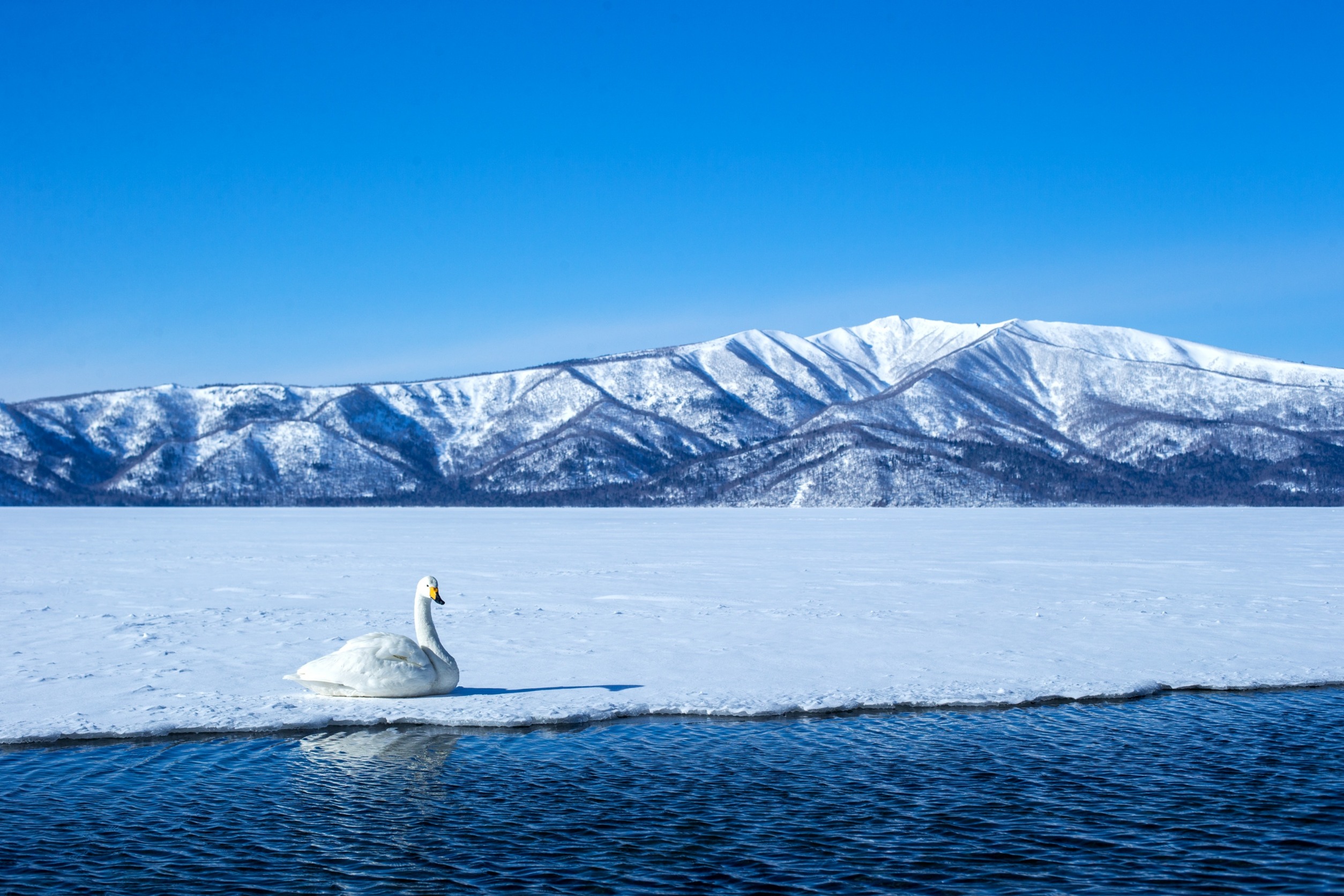 冬季北海道賞雪破冰船６日 (AURORA號 運行期間 2025年1月20日至3月31日)