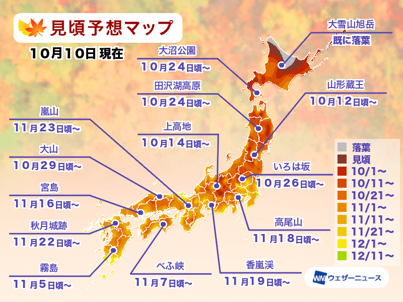 2024紅葉預測