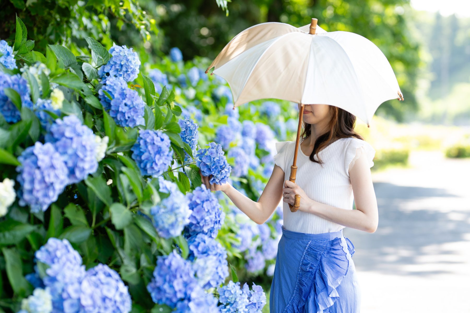 2025日本夏日祭典攻略！從紫陽花到煙火，一起嗨翻這個夏天！