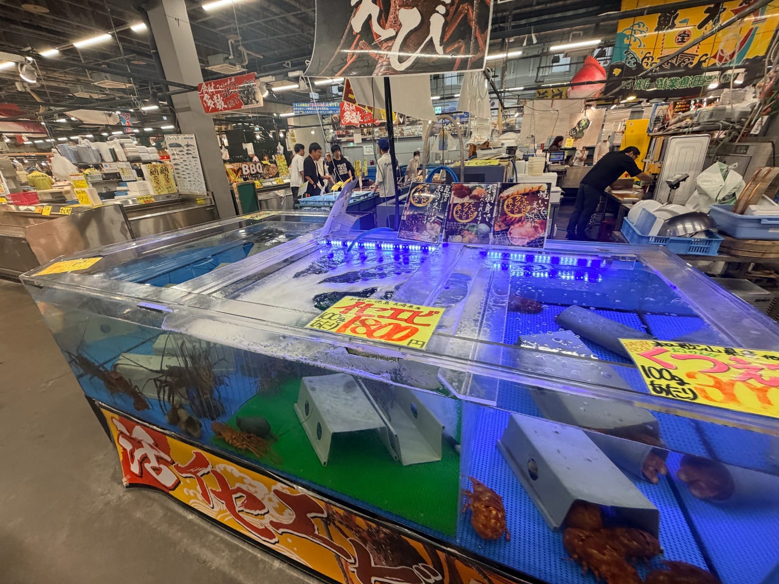 Toretore 市場活魚水槽與藍色燈光