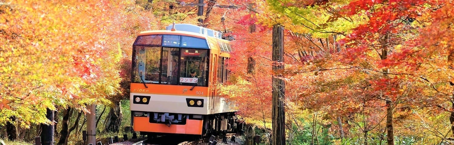 叡山電車行駛在京都秋季紅葉之間
