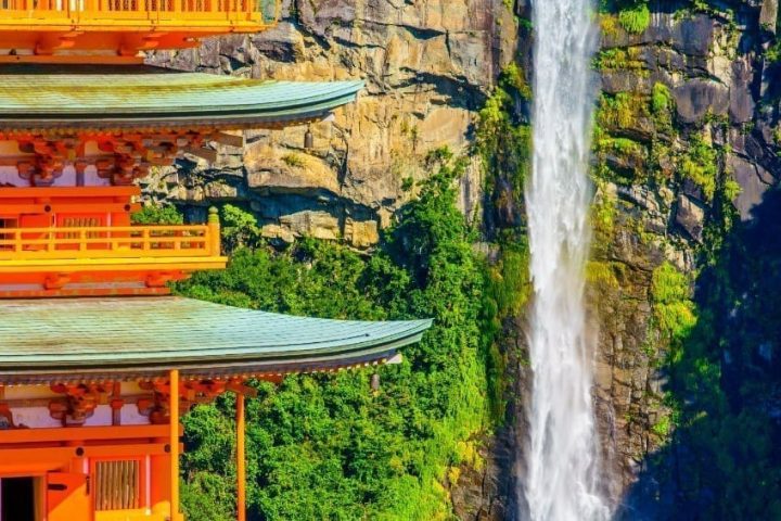 和歌山一日遊怎麼排?和歌山市、高野山、白濱與熊野路線比較