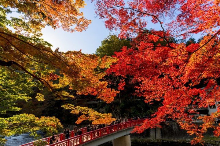 2026北海道賞楓攻略｜9月到11月紅葉時間、景點與行程規劃