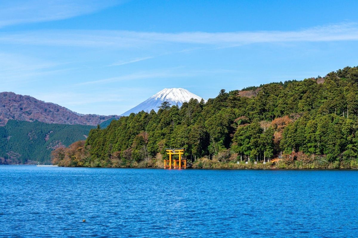 東京星野+熱海花火大會 快閃包車旅遊三日 行程亮點