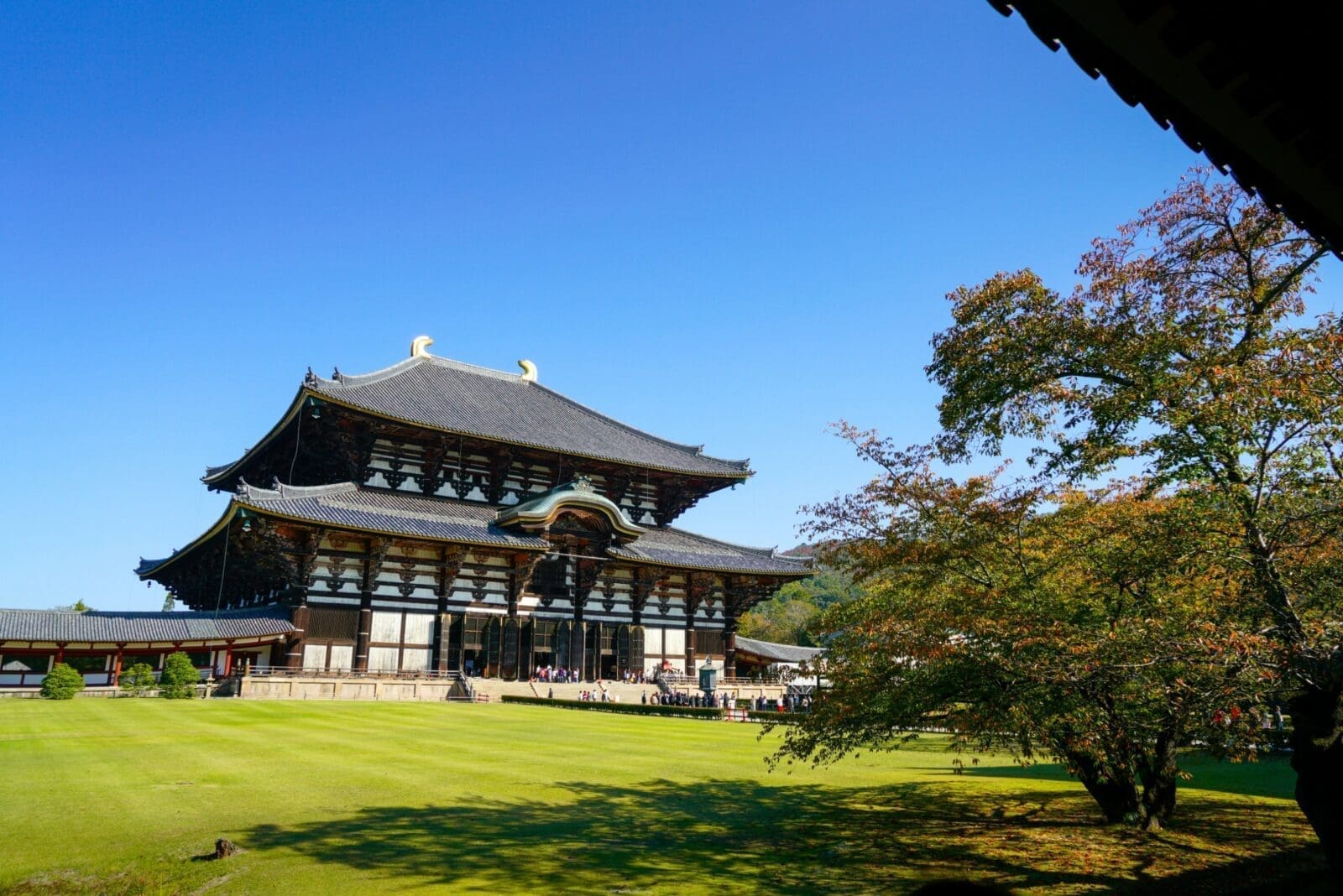 奈良東大寺、奈良公園與春日大社一日遊