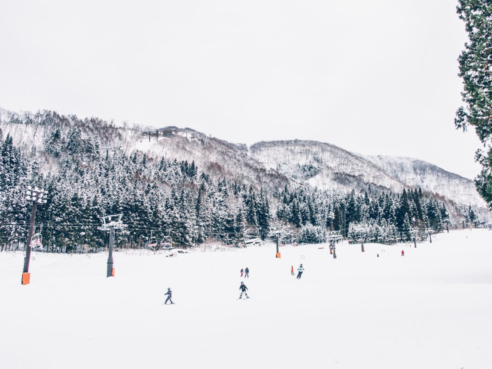 冬季日本滑雪場攻略(北海道,東北地區,長野,新瀉)