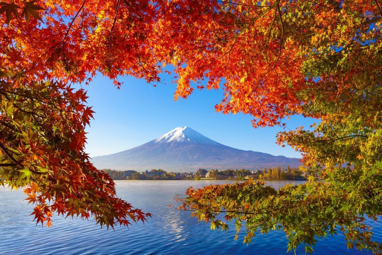 秋季紅葉與富士山景色