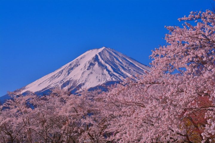 2026 富士山拍照景點攻略｜河口湖、富士吉田與山中湖取景路線