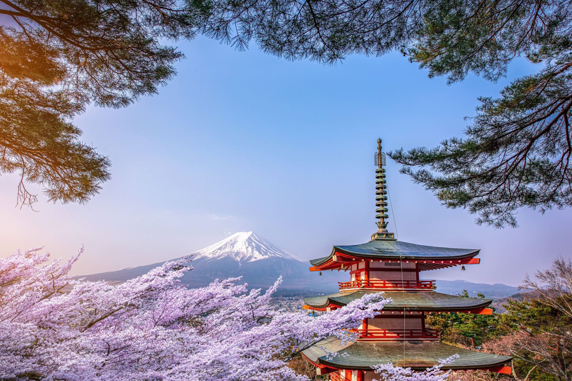 2026河口湖淺間神社賞櫻與富士山拍照攻略