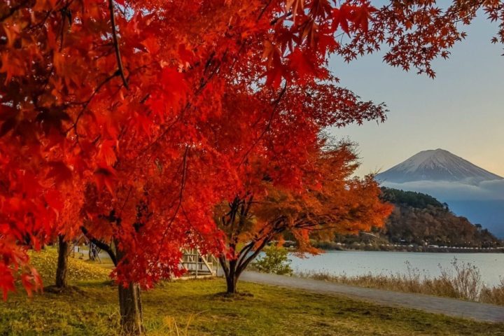 日本賞楓景點推薦|10 大紅葉名所、見頃時間與行程選擇