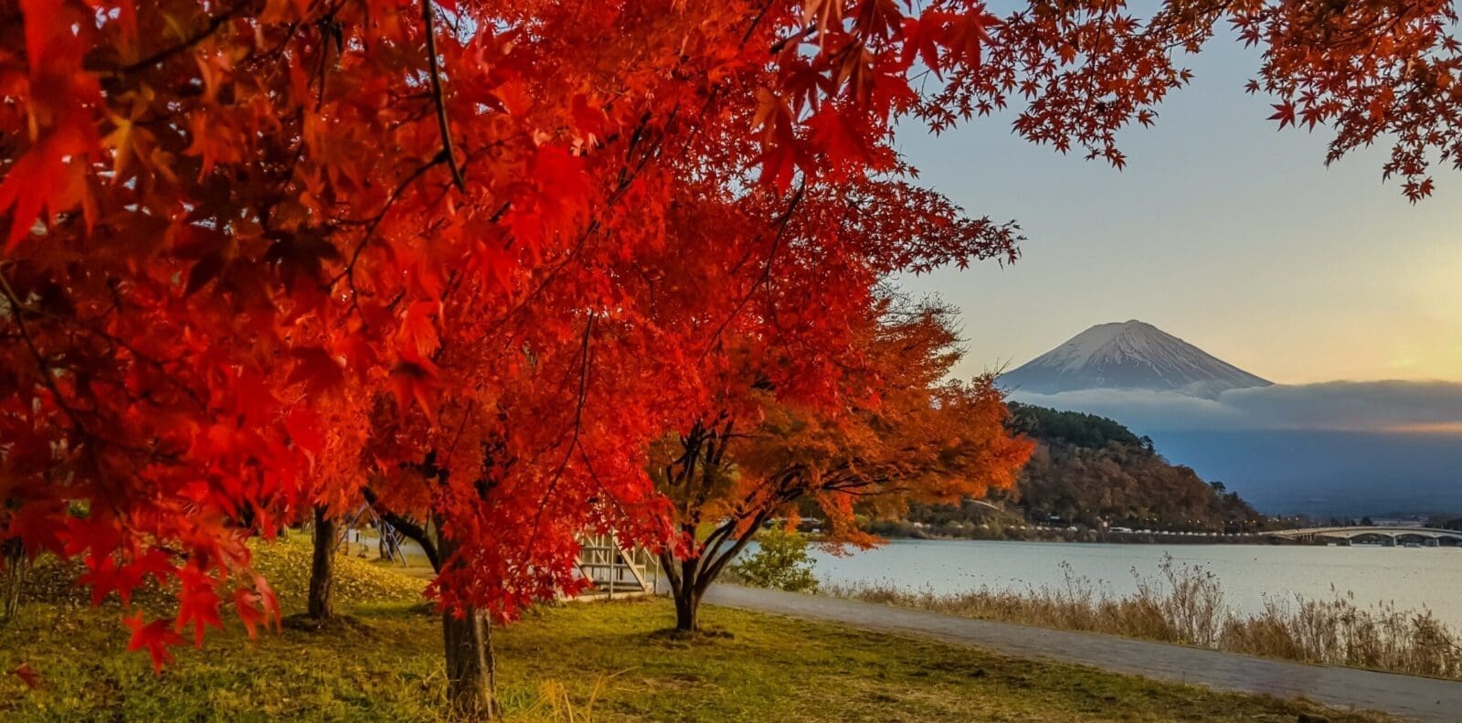日本楓葉季賞楓景點推薦攻略 ( 10大必去的景點 )
