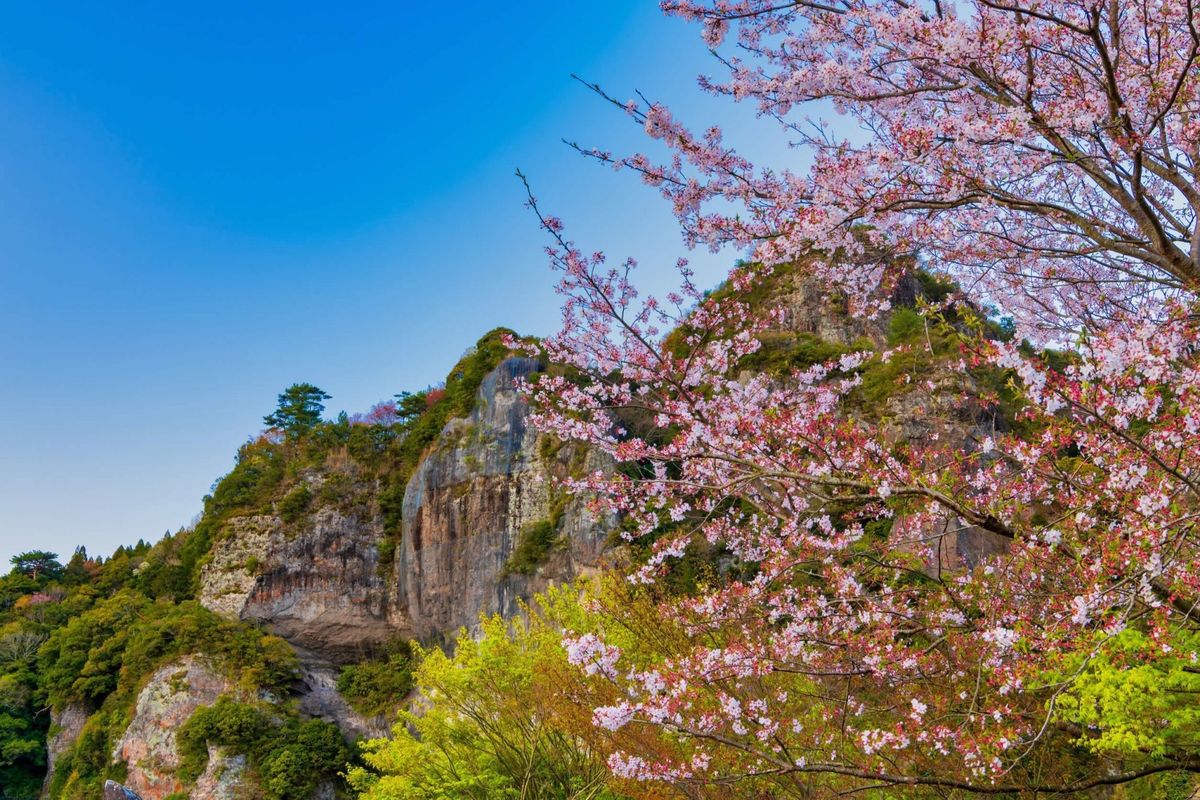成趣園