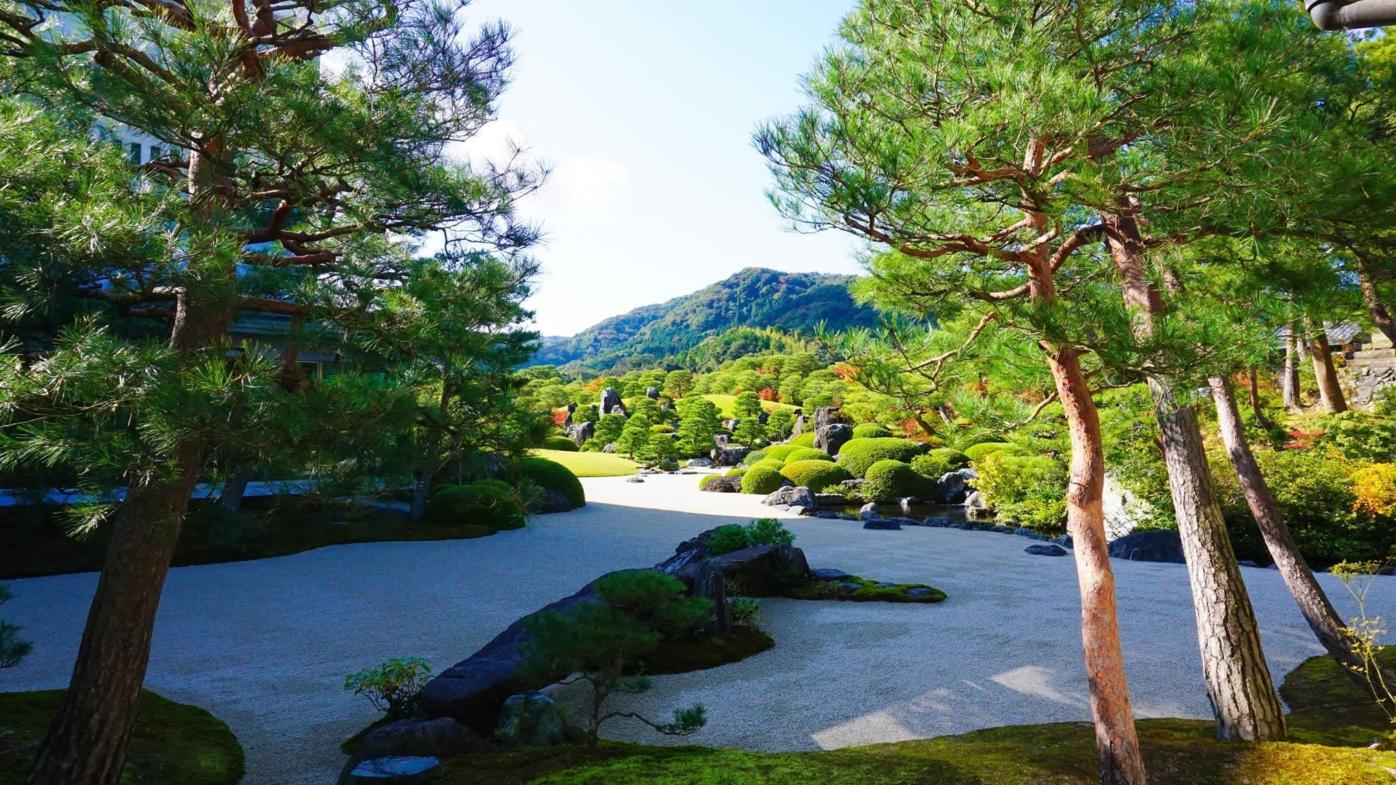日本第一庭園-足立美術館參觀全攻略｜門票、交通、看點、觀賞建議一次搞懂！