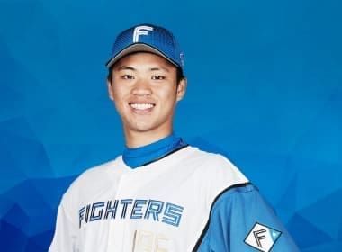 北海道火腿鬥士隊球賽包車小團五日遊 ( 2026日本職棒賽季限定 ) 行程亮點