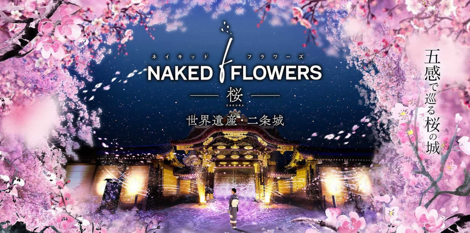 京都二條城賞櫻光雕秀