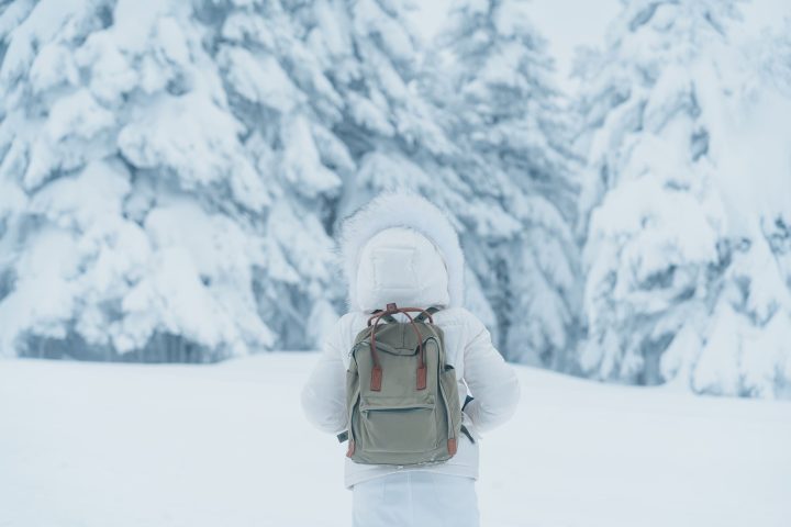 2027 日本公認10大絕美雪景景點｜1–2月必看冬季旅遊攻略