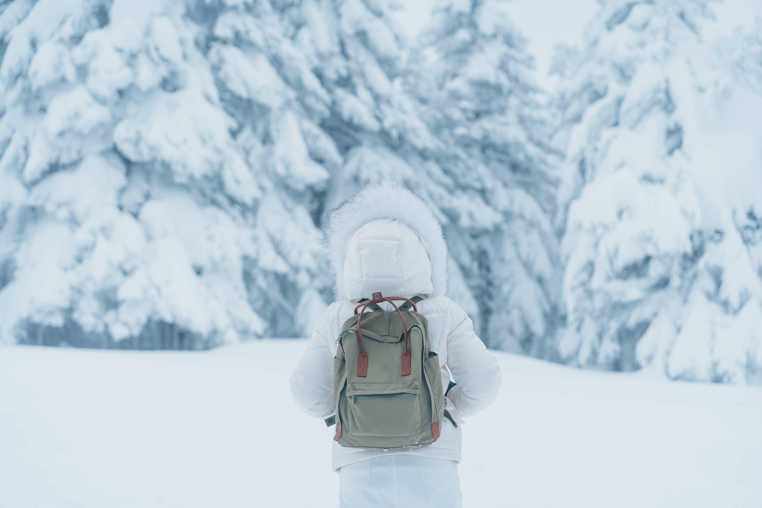 2026 日本公認10大絕美雪景景點｜1–2月必看冬季旅遊攻略
