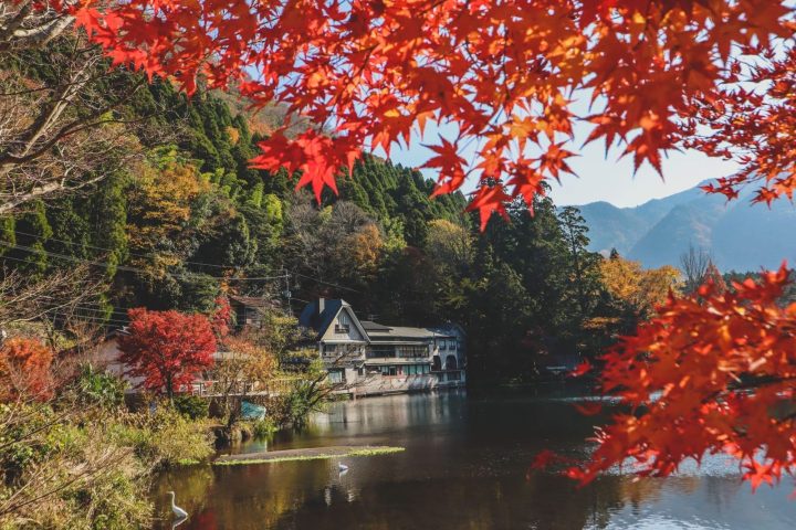 九州「紅葉名湯」5日遊｜湯之坪街道・金鱗湖・九重夢大吊橋