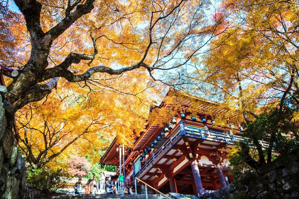 春日大社