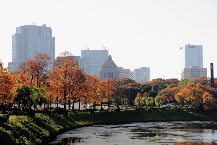 東京賞楓攻略|紅葉見頃、銀杏景點與一日行程